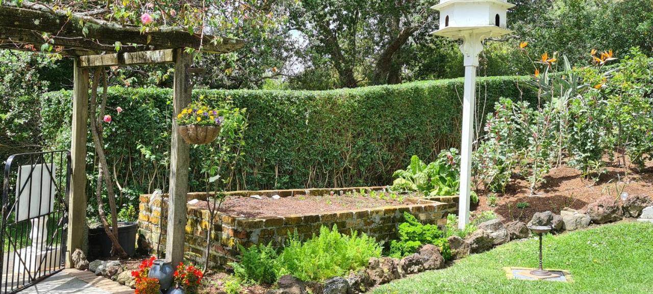 Bed and Breakfast Dovecote House Auckland Zewnętrze zdjęcie