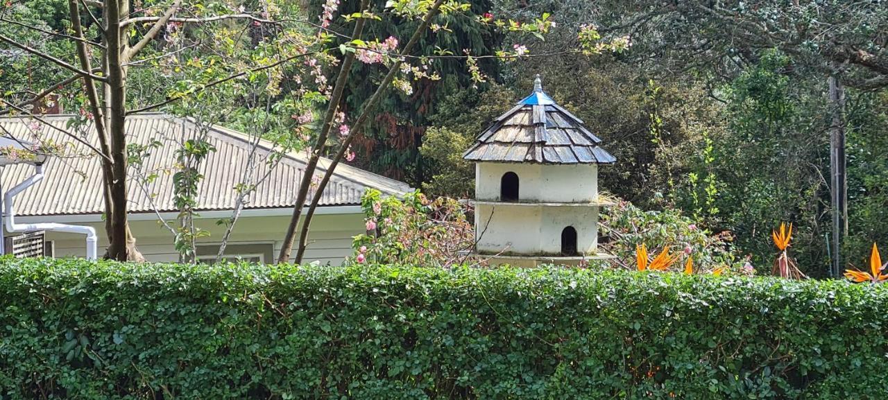 Bed and Breakfast Dovecote House Auckland Zewnętrze zdjęcie